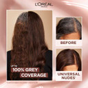 Excellence Crã¨Me Universal Nudes 6U Blonde Hair Dye