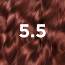 Garnier Good Permanent Hair Dye Auburn Hibiscus Brown 5.5