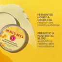 Burt'S Bees Fermented Honey Facial Cleansing Balm, With Prebiotic And Postbiotic Blend, Contains Fermented Honey And Green Tea, Natural Origin Skin Care, 1 Tin, 3 Oz