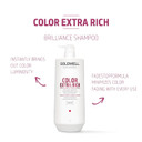 Goldwell Dualsenses Color Extra Rich Brilliance Shampoo