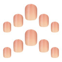 Elegant Touch Colour Nail Rose Ribbons