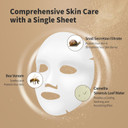 Benton Snail Bee High Content Mask Pack (20G / 10 Sheets) - Snail Mucin Face Mask With Bee Venom | Korean Skin Care Face Mask Sheets For Moisturizing, Soothing And Nourishing1 Count (Pack Of 10)