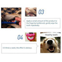 Dental Care Kit Set for Dogs & Puppies - Dual-Head Toothbrush, 2 Finger Brushes, and Mint-Flavored Toothpaste (100g) for Dogs and Puppies