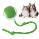 Eptchn Electric Smart Rolling Cat Toy Ball – Interactive Indoor Play Toy for Active Cats