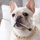 VALUEVIBES Stylish Dog Chain Collar Necklace for Pets, Adjustable Fashion Accessory for Small and Medium Dogs, Comfortable & Lightweight Pet Photo Prop