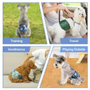 Reusable Male Dog Diapers – Washable Belly Bands for Small Dogs | Absorbent Wraps for Incontinence, Excitable Urination(Packof1)