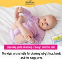 Alviana Baby Cleansing Wipes Pack of 48