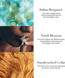 Victoria's Secret Very Sexy Sea Fine Fragrance 8.4 oz. Lotion