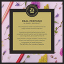 Noble Isle Tea Rose Eternal Rose Gift Set for Women & Men | Bath & Shower Gel, Body Cream & Bath Oil | Infused with Black Tea Leaves & English Rose Petals | Vegan & Cruelty Free - 3 x 250ml
