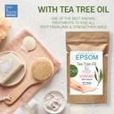bleu & marine Bretania - Natural Epsom Bath Salts 250g | Infused with Tea Tree & Peppermint Essential Oil | 6x More Effective | Therapeutic Foot Soak | Nail & Skin Treatment, 250 g Pack of 1 bleu & marine Bretania - Natural Epsom Bath Salts 250g | Infused with Tea Tree & Peppermint Essential Oil | 6x More Effective | Therapeutic Foot Soak | Nail & Skin Treatment, 250 g Pack of 1