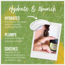 Beauty Kitchen - Hydrating Abyssinian Oil Intense Moisture Facial Oil 30ml - Anti Aging Oil for Glass Skin - Supports Skin Barrier - Vegan/Cruelty Free
