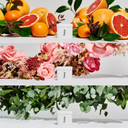 Fussy - Natural Refillable Deodorant - Burnt Orange Case & Variety Refill Pack - Wide Eyed Citrus, Night Tales Flora & Wavy Days Mint - Aluminium Free - Vegan & Cruelty Free - 100% Natural & Effective