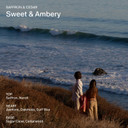 SALT & STONE Aluminum Free Deodorant | Extra Strength 48 Hour Protection for Women & Men | Made with Seaweed Extracts, Shea Butter & Prebiotics (Saffron & Cedar)