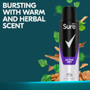 Sure Men Active Dry Anti-Perspirant, 150ml