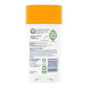 ARM & HAMMER Essentials Solid Deodorant, Clean, Wide Stick, 2.5 oz. (Pack of 3)