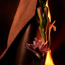 Bvlgari Man In Black Men's Gift Box Perfume Edp 100 ml Mini Size 15 ml