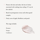 Maria Nila Luminous Color, Reduces Color Loss From Washing, Pomegranate Counteracts Dehydration, 100% Vegan & Sulfate/Paraben Free