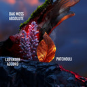 Guy Laroche Drakkar Noir Eau De Toilette Perfume Men, 30 Ml