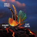 Guy Laroche Drakkar Intense Eau de Parfum Parfume for Men, 100 ml