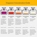 Bath and Body Works Paris Amour Body Mist 236ml