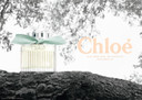 Chloe Chloe Naturelle For Women 3.4 oz EDP Spray