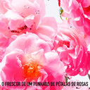 Dior Miss Roses N' Roses EDT-S, 2.857 kg
