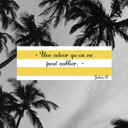 Giorgio Beverly Hills - Giorgio Yellow Fragrance Mist 236ml