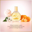 Gloria Vanderbilt N°1 Eau De Toilette 100ml Spray, Floral Female Perfume, Fragrance For Women, Eau De Toilette For Women, Elegant Womens Perfumes - Genuine Gloria Vanderbilt Perfume for Women