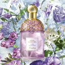Aqua Allegoria Flora Salvaggia by Guerlain Eau de Toilette Spray / 4.2 fl.oz. 125ml