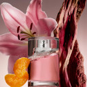 BOSS Femme - Eau de Parfum for Her - Woody Fragrance with Notes of Tangerine, Oriental Lily and Satinwood - High Longevity - 30ml