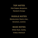 Forever Collection 3 Pack Set - Eau De Parfum 100ml - Forever Together, Together Forever, Always Forever - Designer Inspired Fragrances For Her - By Laurelle London