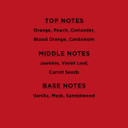 Forever Collection 3 Pack Set - Eau De Parfum 100ml - Forever Together, Together Forever, Always Forever - Designer Inspired Fragrances For Her - By Laurelle London