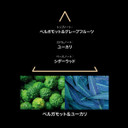 Le Couvent - Remarkable Perfume Santa Cruz EDP 50 ml