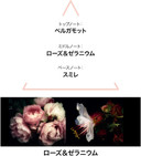 LE COUVENT DES MINIMES Aqua Paradisi Cologne Botanique Intense 50 ml