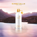 Montale Nepal Aoud 100ml Eau De Parfum