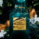 Eau de Parfum Neroli Portofino Spray For Unisex, 250 ml