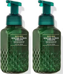Bath & Body Works Bath and Body Works Winter Citrus Wreath Soft Sparkling Hand Soap, 2 x 8.75 oz (Winter Wreath), 17.5 oz Liquid