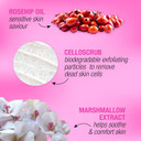 Super Facialist Rosehip Hydrate, Brighten & Refine Face Scrub - Delicate Cleanser & Exfoliator with Shea Butter & Cucumber Oil for Sensitive Skin, Gentle Face Care, Vegan Friendly, 150ml