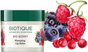 Biotique Berry Plumping Lip Balm Smoothes and Swells Lips