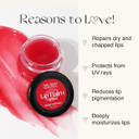 Nourish Mantra - Beetroot Lip Balm with SPF | Made with Olive oil, Shea Butter, Vitamin E and Avocado Oil | For Dry, Chapped & Dark Lips | Best for Both Women and Men | 12g