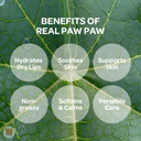 Real Paw Paw Ointment - Use for Lip Balm, Cream to Sooth, Protect and Hydrate All Skin Types. Made in Australia 200g