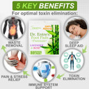 Dr. Entre's Detox Foot Patches: All Natural Detox Foot Pads to Remove Body Toxins, Pain Relief, Sleep Aid | Deep Cleansing Foot Detox Patches, 90 Pack