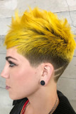pulpriot Lemon