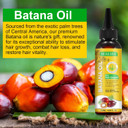 Batana Oil for Hair Growth (120ml), Raw Batana Oil Organic from Honduras - Anti Hair Loss and Repair Damaged Hair, Suitable for All Hair Types