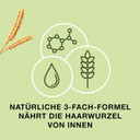 Priorin Capsules Pack of 120