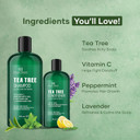 Botanic Hearth Tea Tree Shampoo 8fl oz and Conditioner 4 fl oz - with 100% Pure Tea Tree Oil, for Itchy and Dry Scalp, Sulfate/Paraben Free - for Men and Women