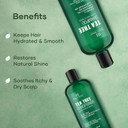 Botanic Hearth Tea Tree Shampoo 8fl oz and Conditioner 4 fl oz - with 100% Pure Tea Tree Oil, for Itchy and Dry Scalp, Sulfate/Paraben Free - for Men and Women