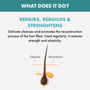 AlfaParf Semi di Lino Reconstruction Reparative Low Shampoo 250 ml (SD/53)