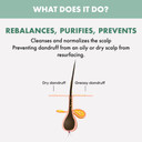 Alfaparf Milano Semi di Lino Scalp Rebalance Balancing Low Shampoo, 1 L, 8022297095929