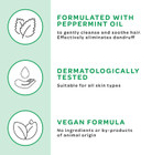 by Amazon Intense Colour Shampoo, 2 x 400 ml